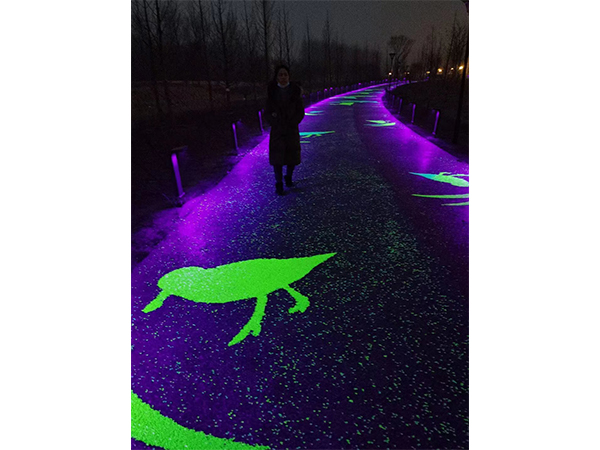 ҹ����